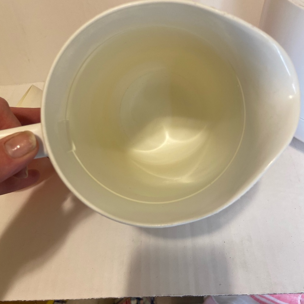 Mid Century Modern Pitcher and Ice bucket - Picture 4 of 13